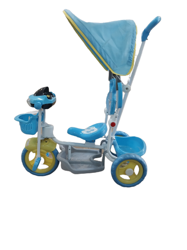 BLUE/PINK TRICYCLE H-TS3300