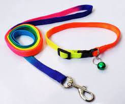 YABEIBI RAINBOW LEASH BIG