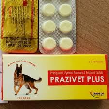 PRAZIVET PLUS